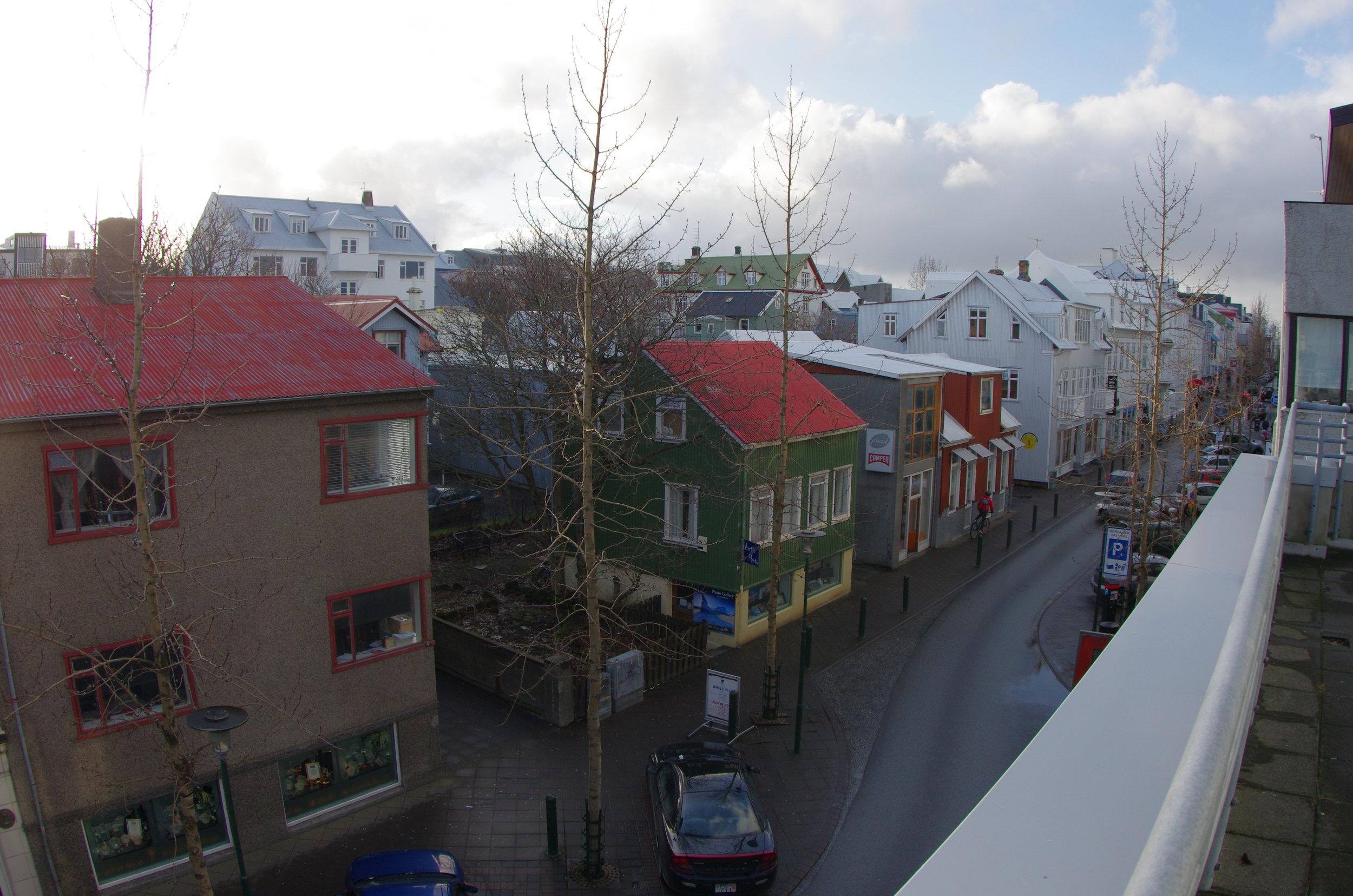 IMGP5486.JPG