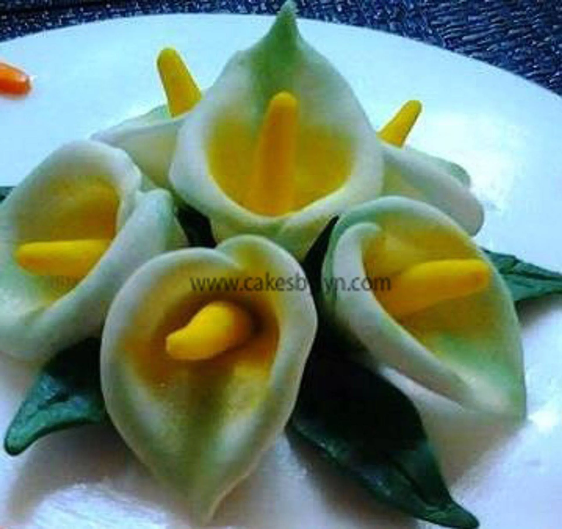 calla lilly goodness 2 copy.jpg