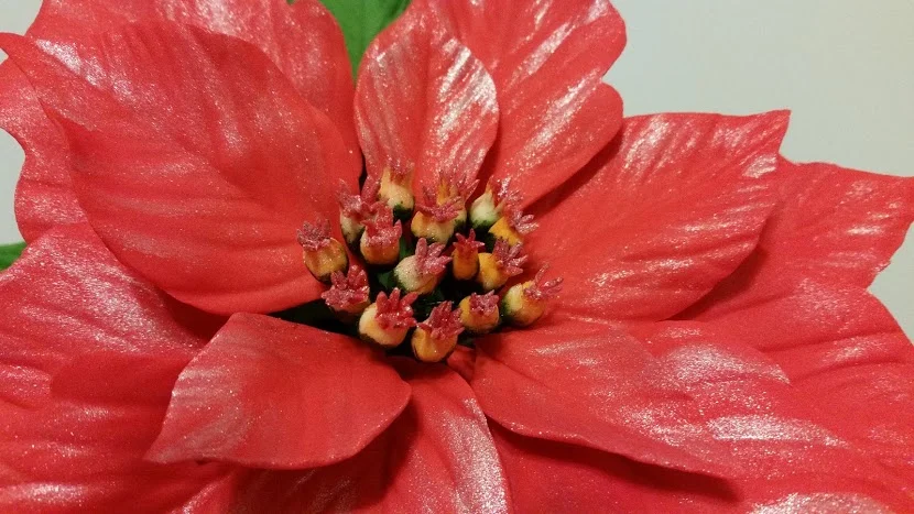 20181223_171842.jpg