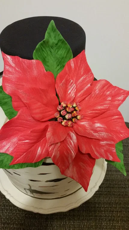 20181223_172049.jpg