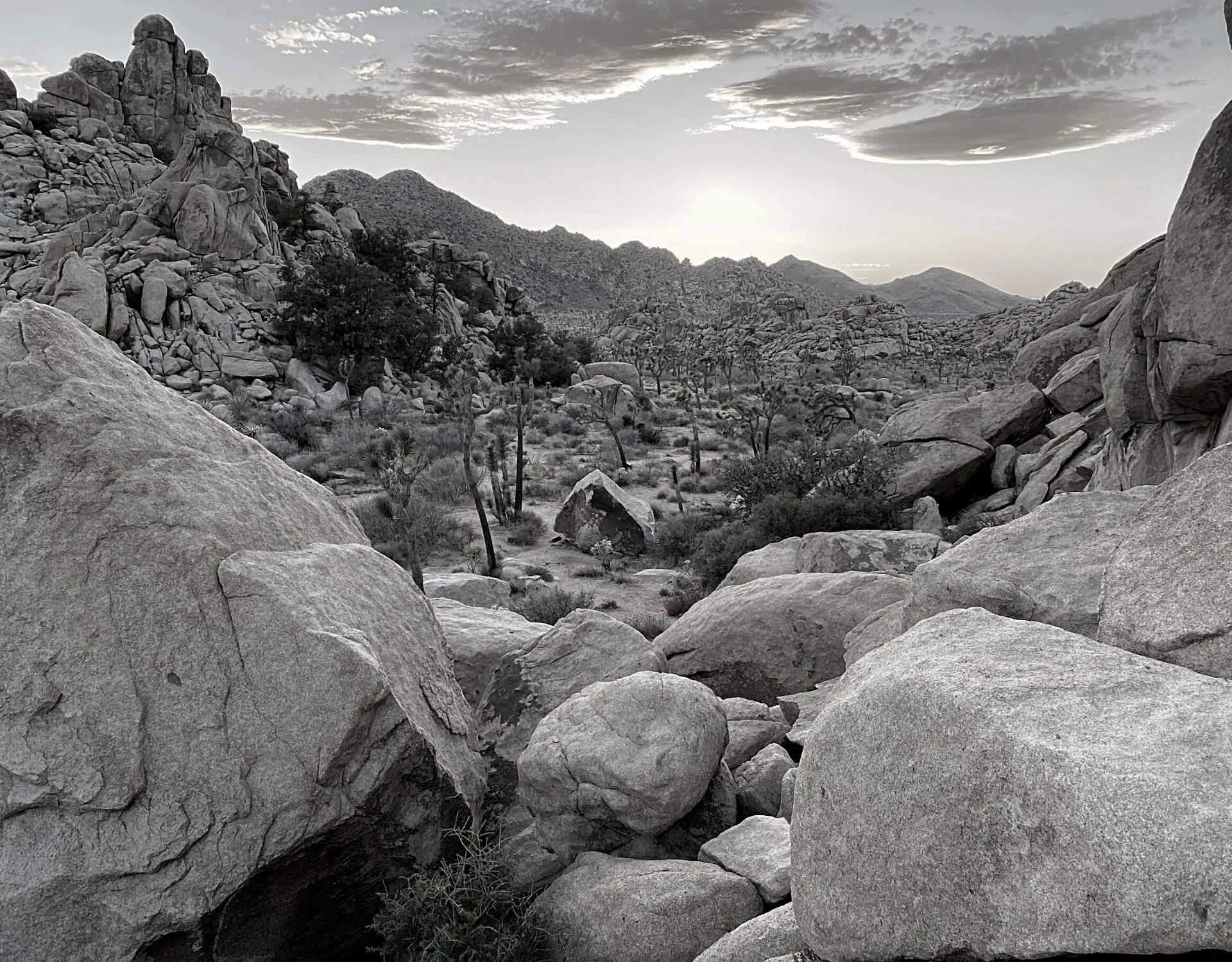 discover header photo MG.jpeg