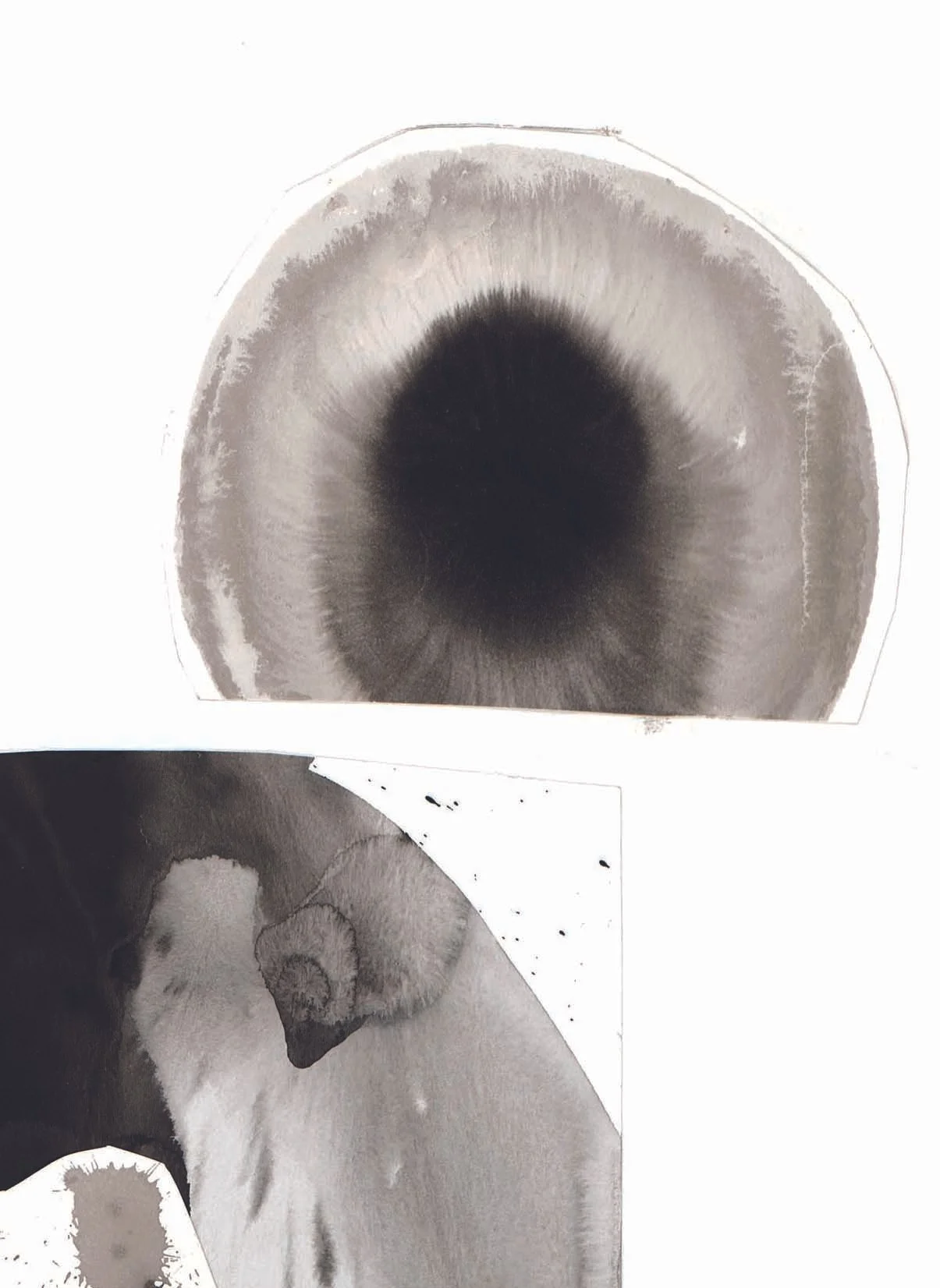 Collage no1 2.jpg
