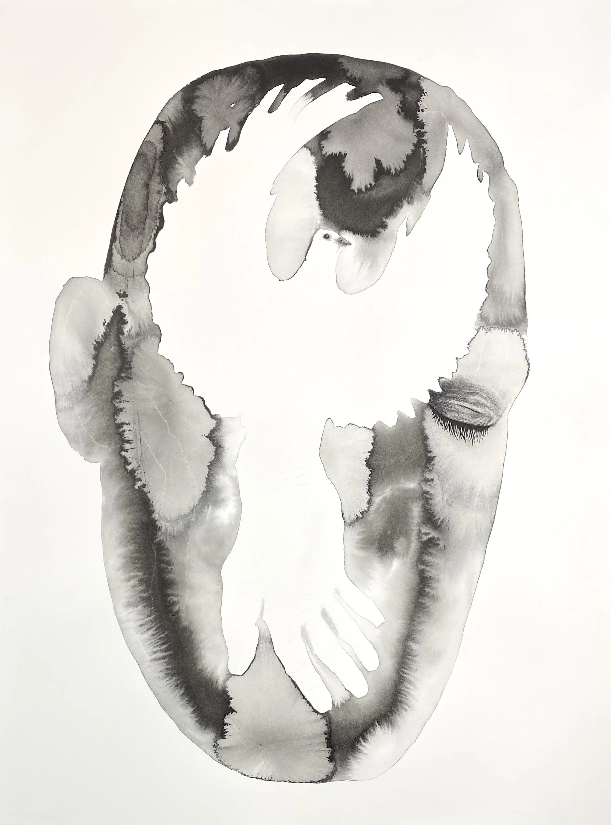 Always Kindness Never Weakness