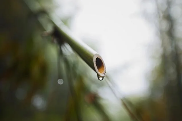A few of my favorite flix from Vietnam 🇻🇳📸 #sassp20