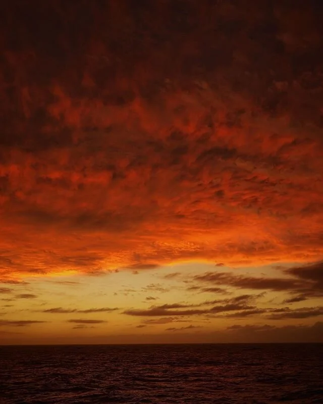 Sunsets in the middle of the Pacific Ocean hit different  #sassp20