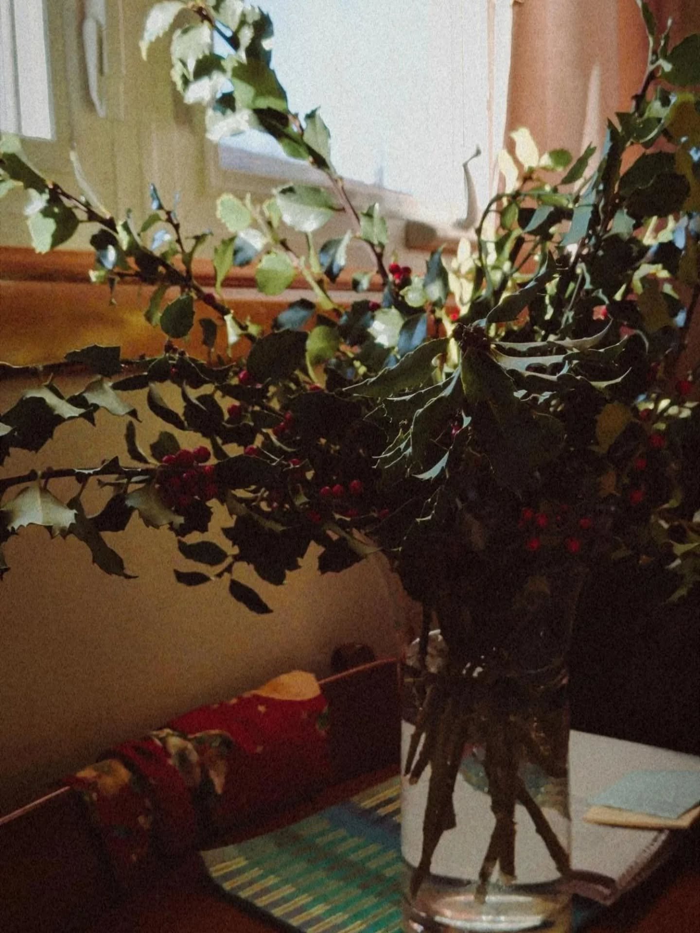 Afternoon with Holly. 
Solstice plant broth &amp; warm wishes ✨🕯️

Bringing outdoor beauty inside. Slowing down, noticing &amp; appreciating simplicity.
