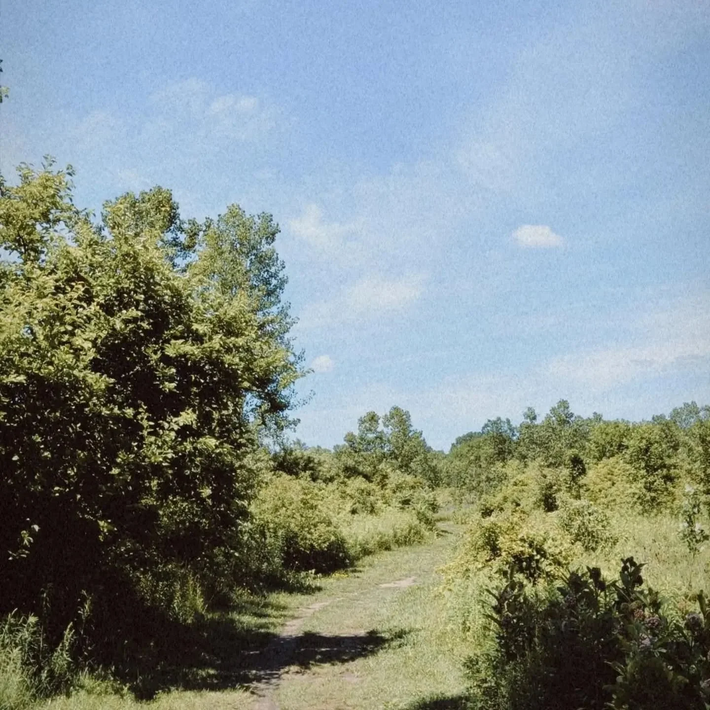 Summer walks - early mornings or cooler evenings.
Walking in Nature eases my mind &amp; nourishes my soul.