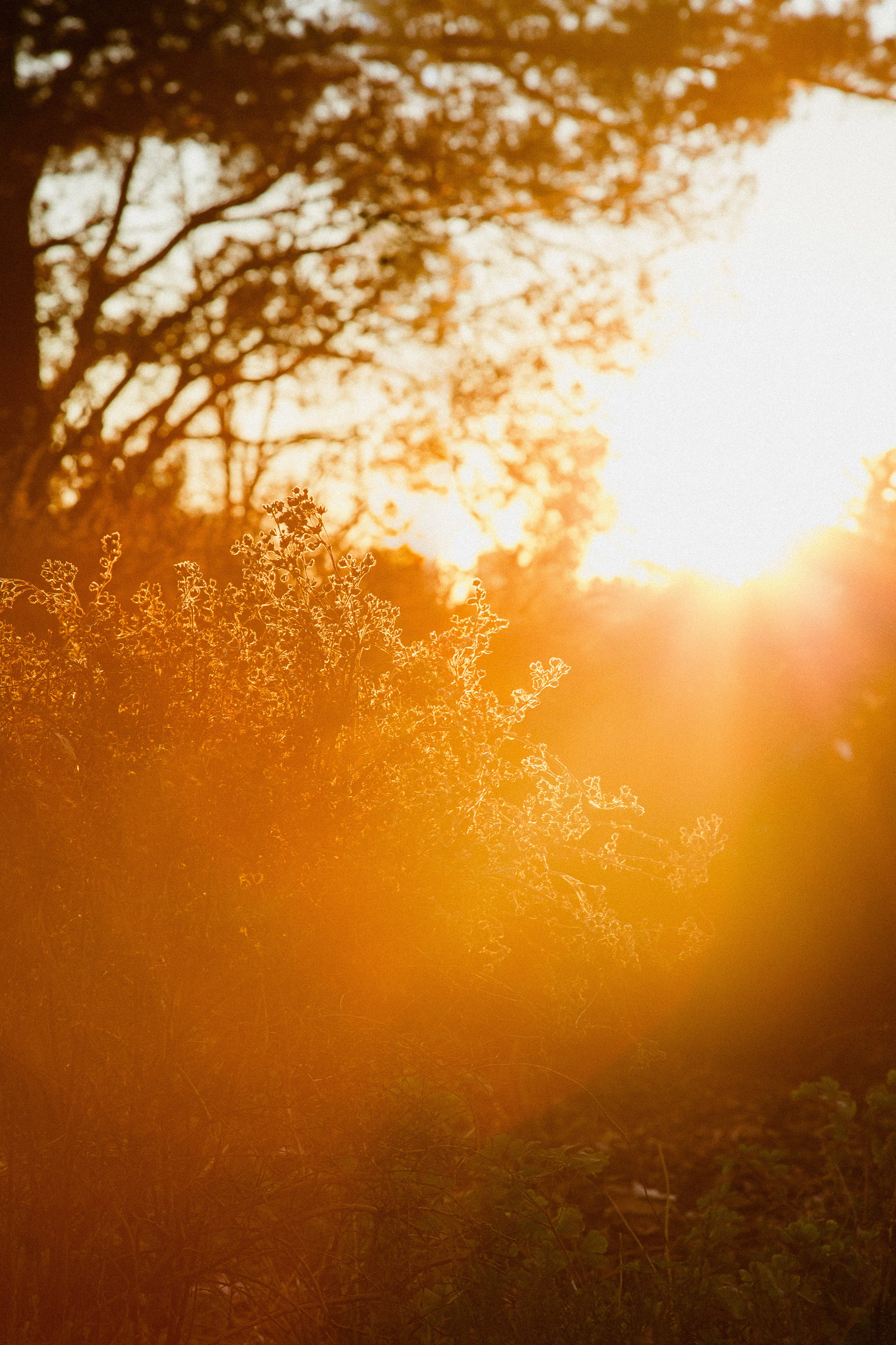 Rise &amp; Shine; It's Butt Falling Time...