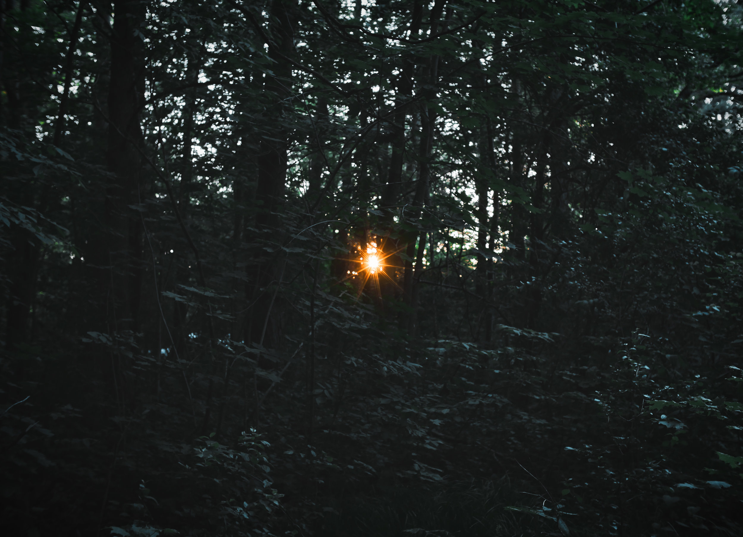 Photo by Patrick Tomasso, Unsplash