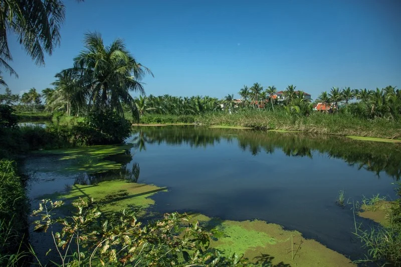 full_an_villa_nature_8_1494895852.jpg