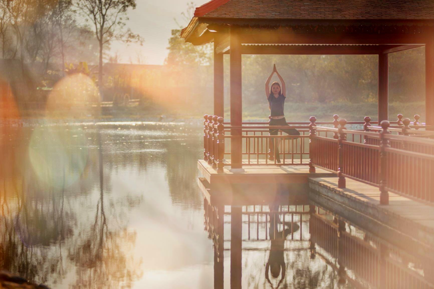 yin-yang-wellness-alba-header.jpg