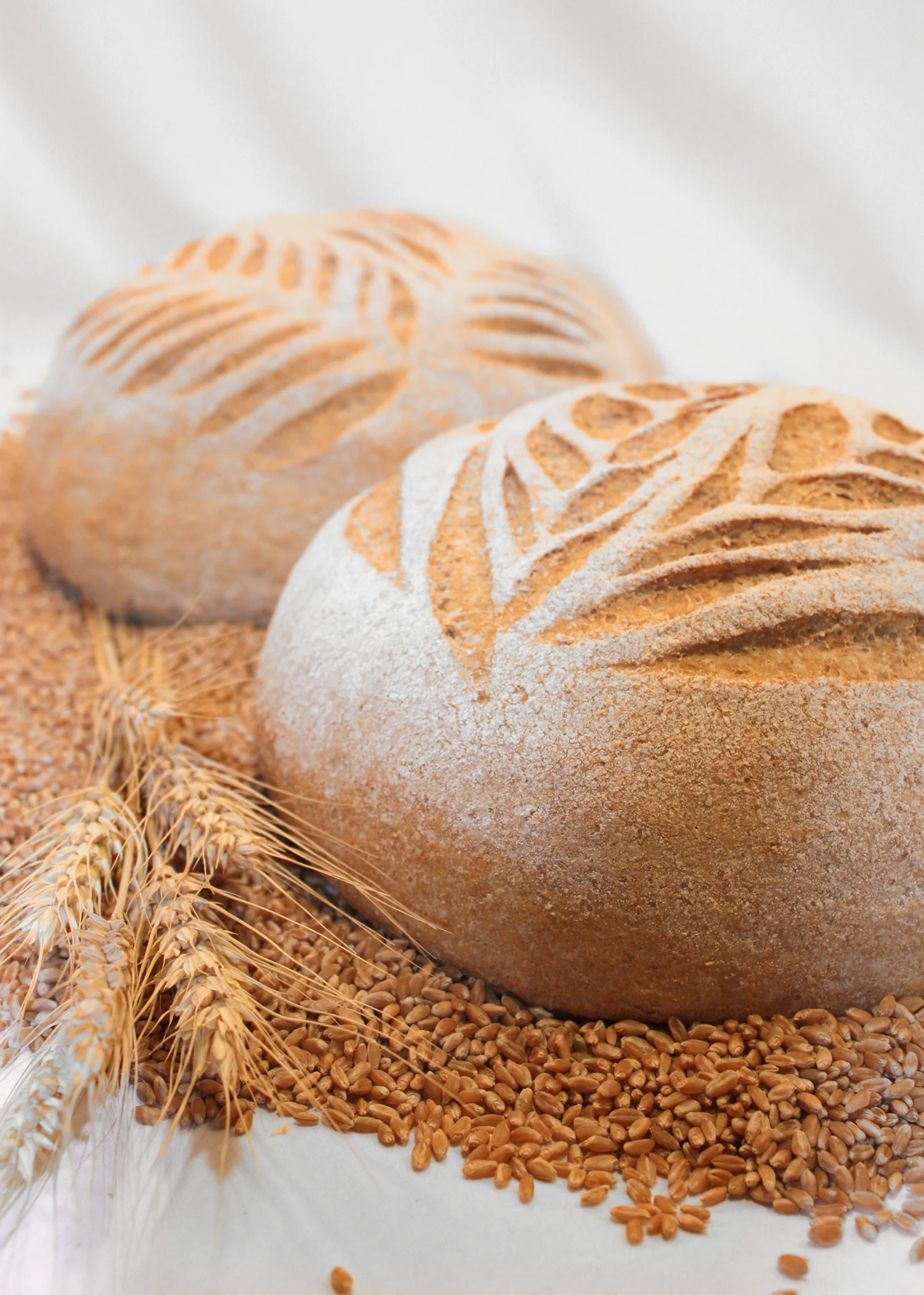 HoneyWholeWheat2RLoafs1.jpg