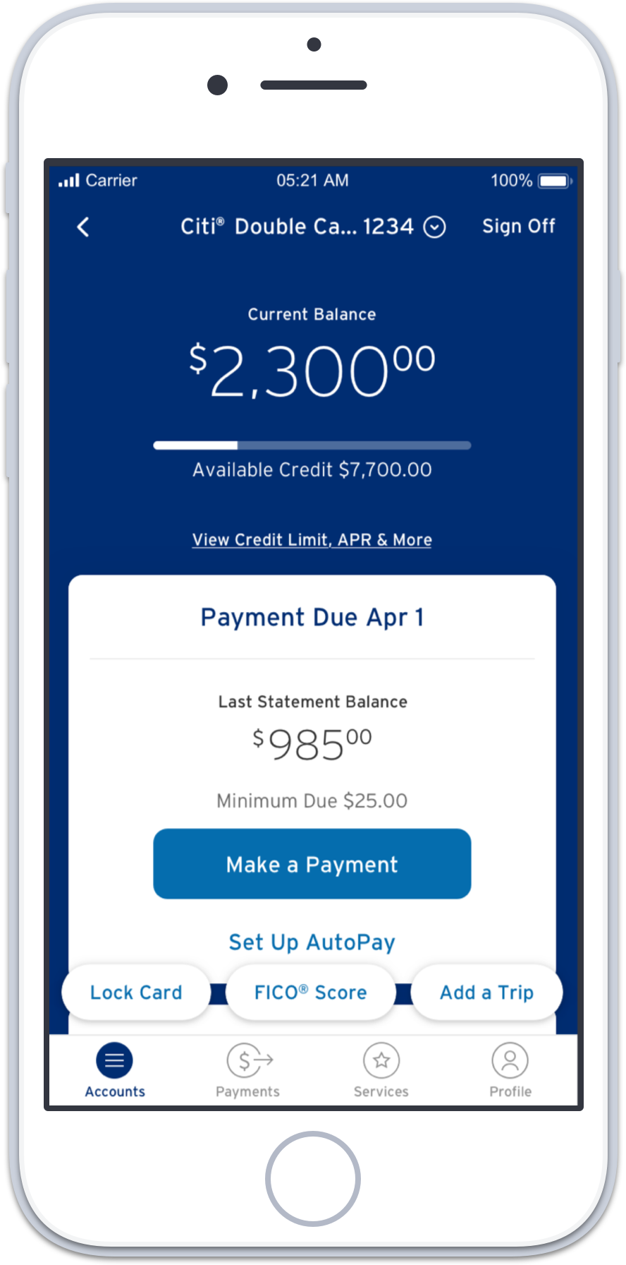  Citi App, Ledger View Enhancement 