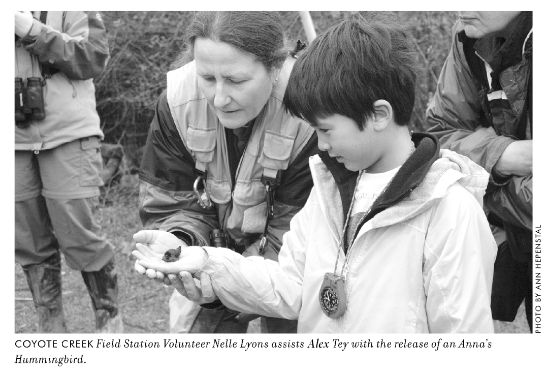 Alex holding an Anna’s Hummingbird at the Coyote Creek Field Station, pictured in the Spring 2008 issue of Bay Bird Review, the newsletter of the San Francisco Bay Bird Observatory.