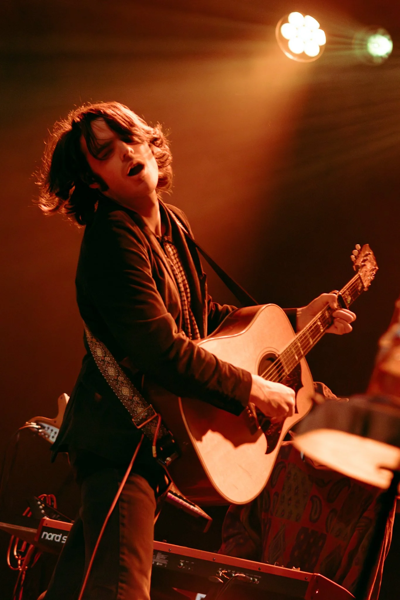 Slaughter Beach, Dog at Webster Hall