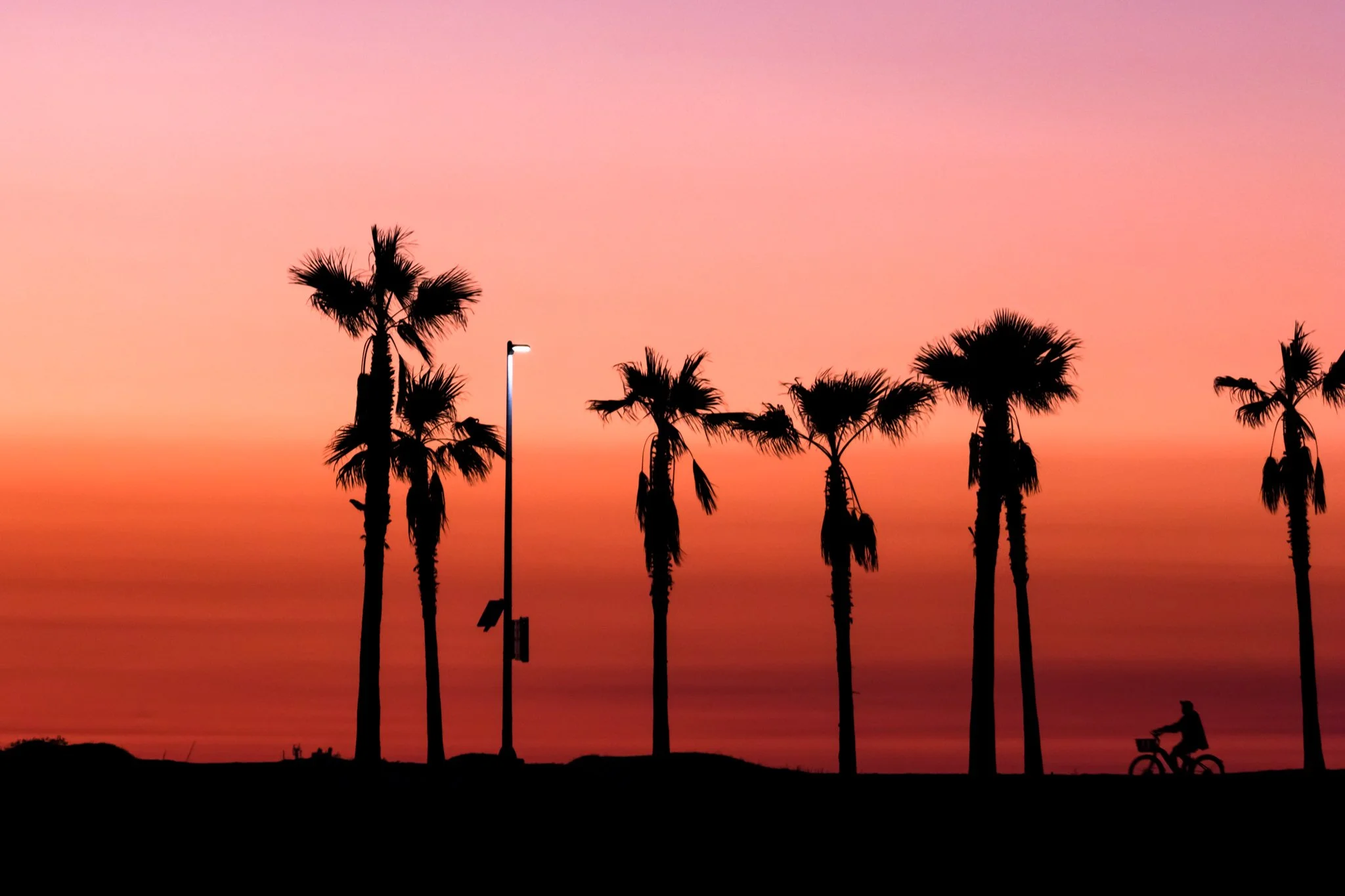  Orange Co., Calif. // Nov. 23, 2022  Canon EOS R7 // Sigma 150-600mm f/5-6.3 Contemporary 