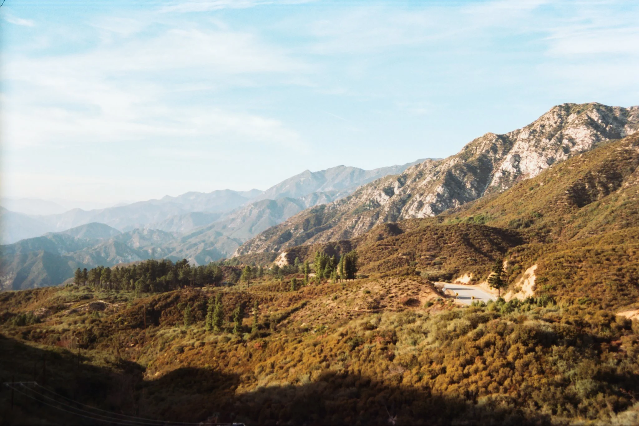  Los Angeles Co., Calif. // Dec. 26, 2024  Canon AE-1 // Canon 50mm f/1.8 // Kodak Portra 160 