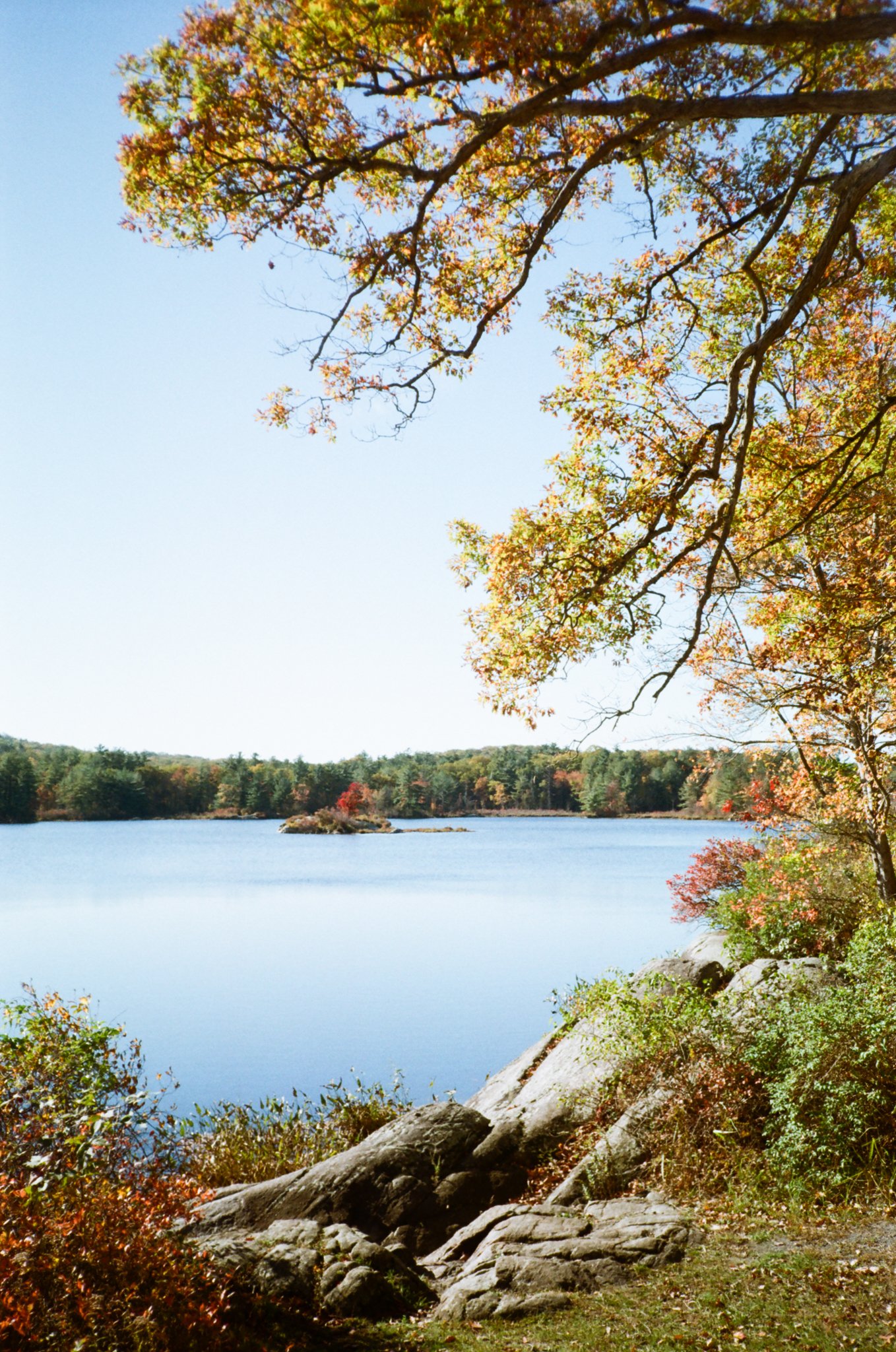  Orange Co., N.Y. // Oct. 17, 2025  Canon AF35M 38mm f/2.8 // Kodak ProImage 100 