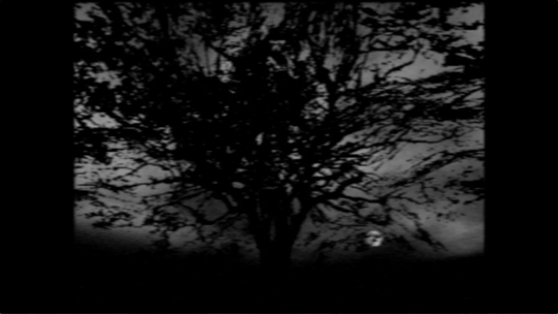 09-Tree-of-Life.jpg