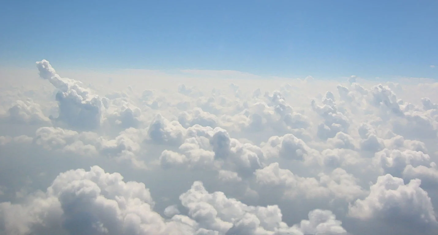 p5.jpg