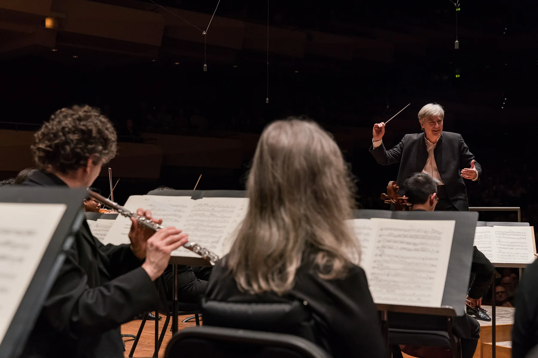 LUMINOUS LANDSCAPES: THE SIBELIUS SYMPHONIES
