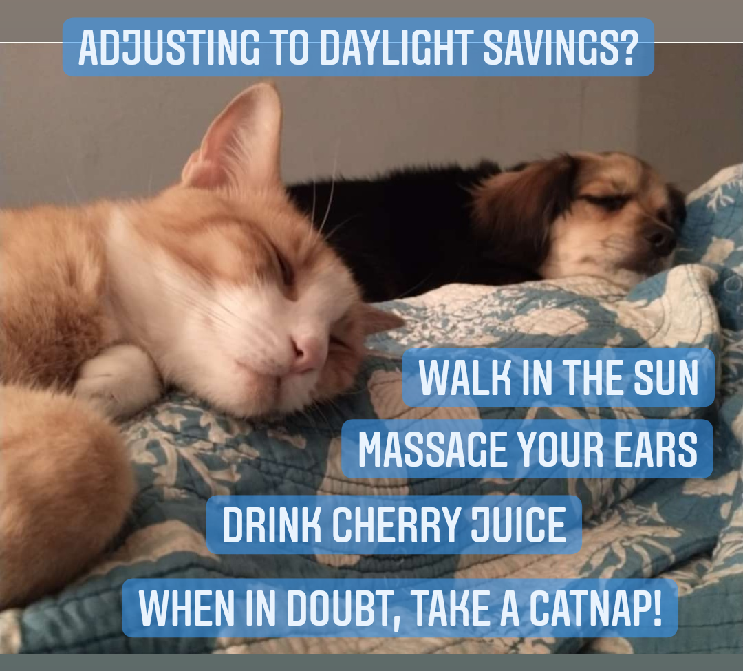 Catnaps to Cope with Daylight Savings Time