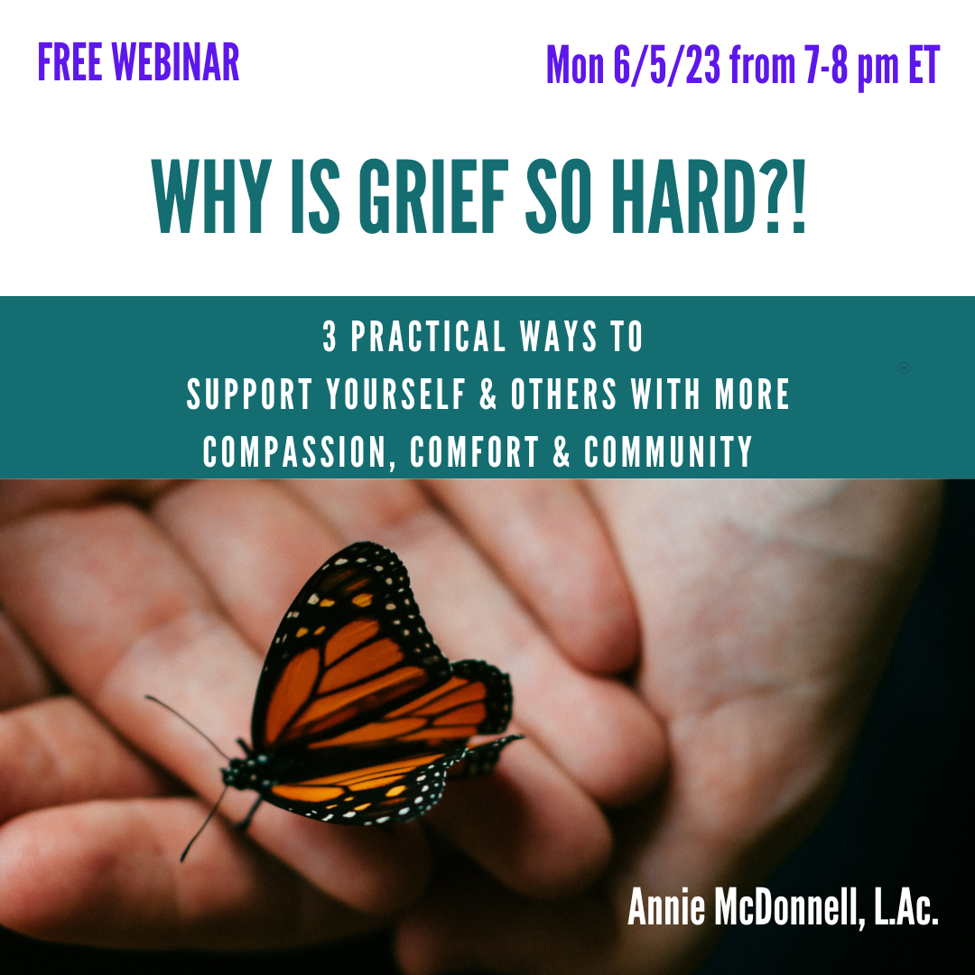 Why Is Grief So Hard?! 3 Practical Ways to Support Yourself &amp; Others free webinar