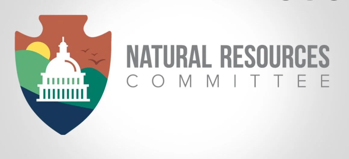 Democratic Staff of the House Natural Resources Committee — Policy Aide, Subcommittee on Energy and Mineral Resources