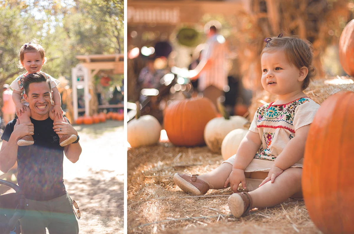 Pumpkin Patch - 2018.jpg