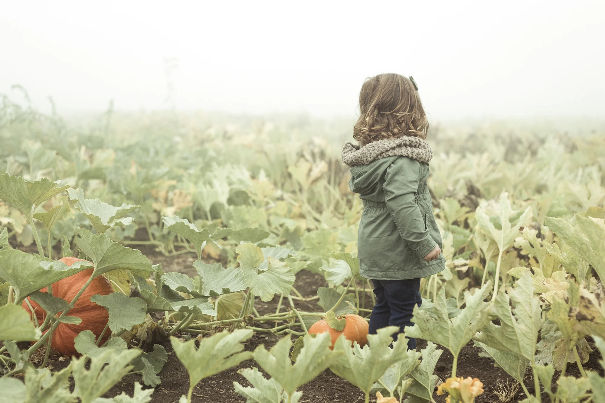 Apple Picking - Riley Los Rios Oak Glen-5.jpg