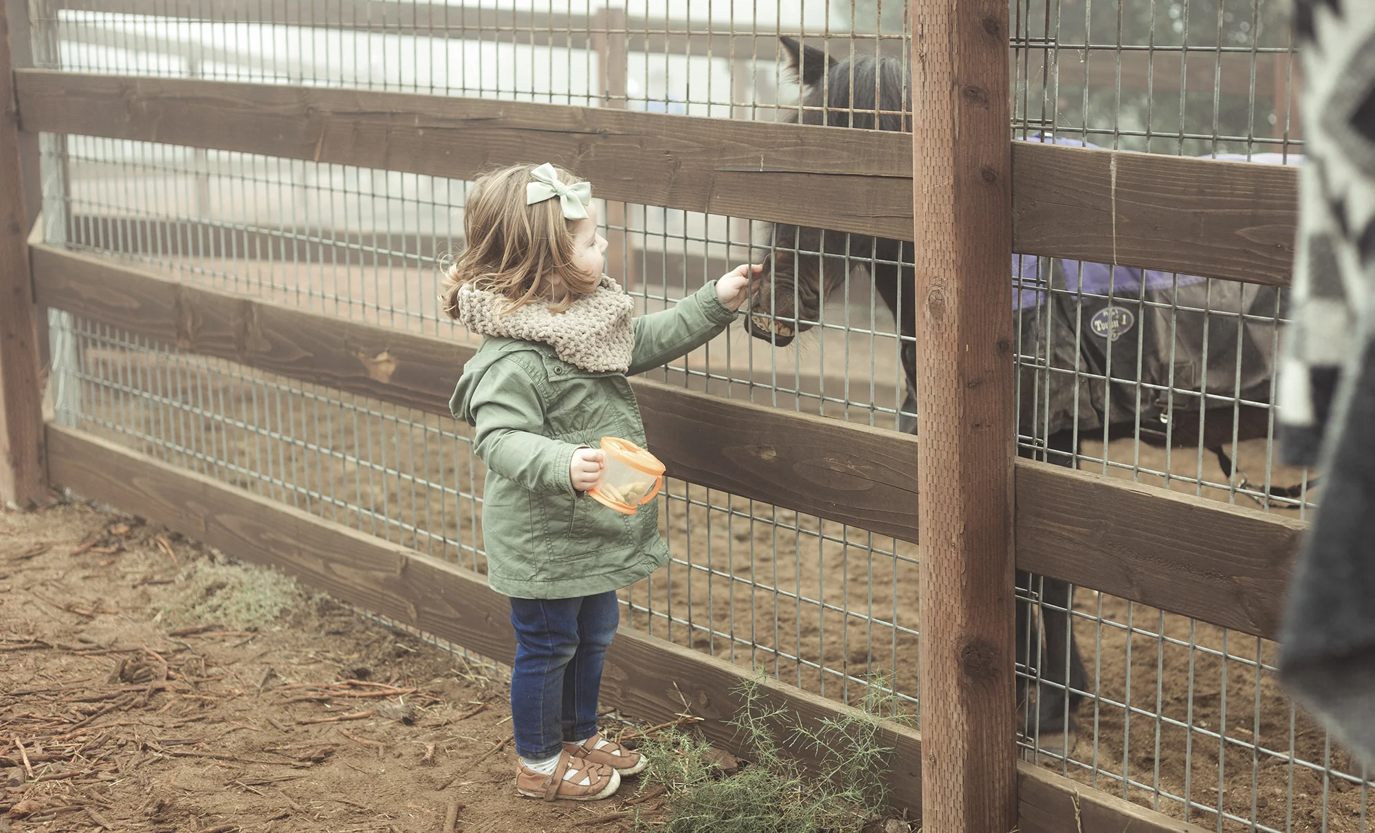 Apple Picking - Riley Los Rios Oak Glen-8.jpg