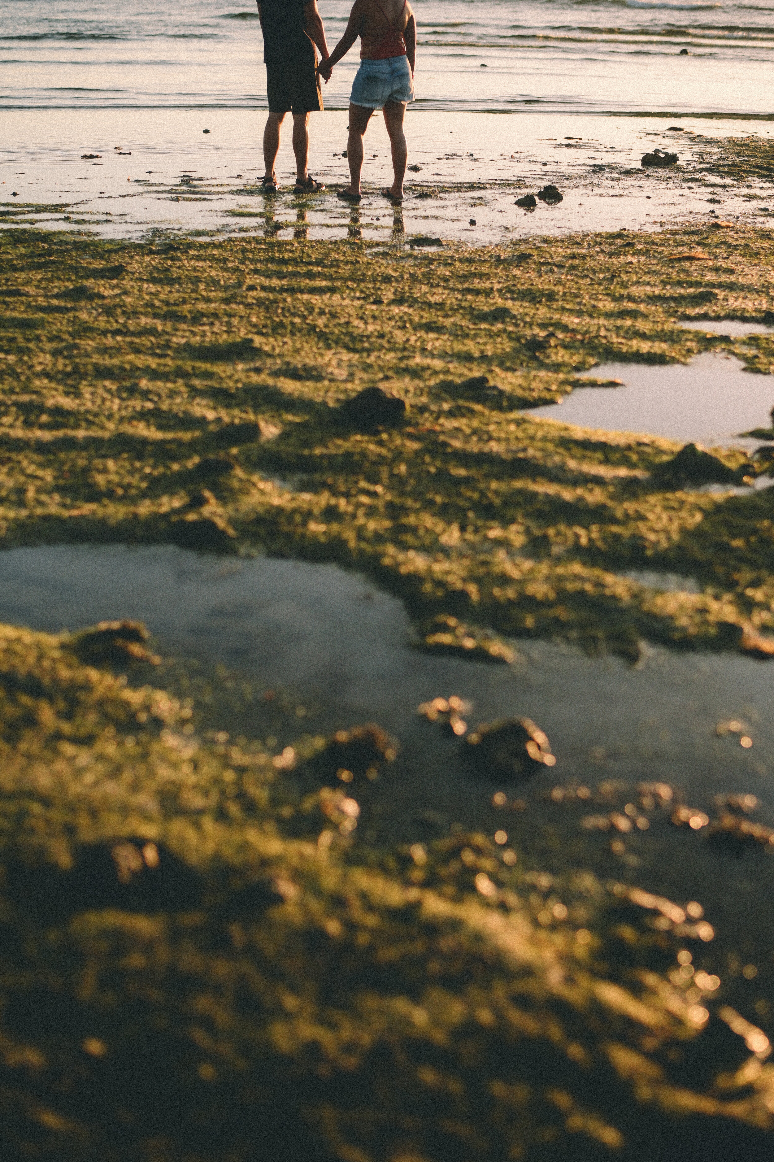 Z62_1115.JPG