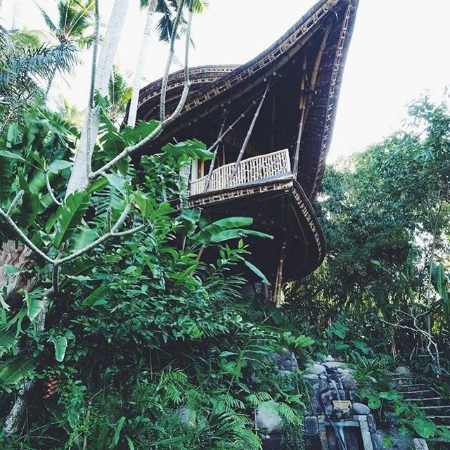 Instagram-viv-yapp-16.jpg