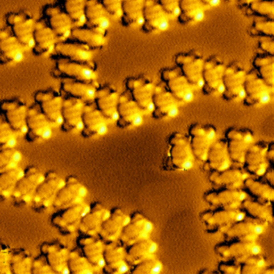 Photo credit: Oak Ridge National Laboratory