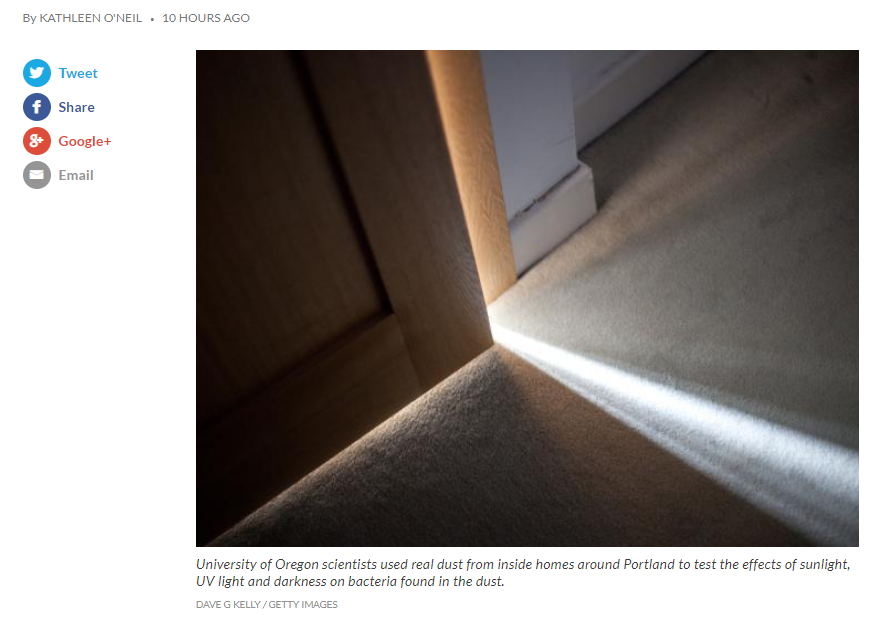 Grandma was right.png