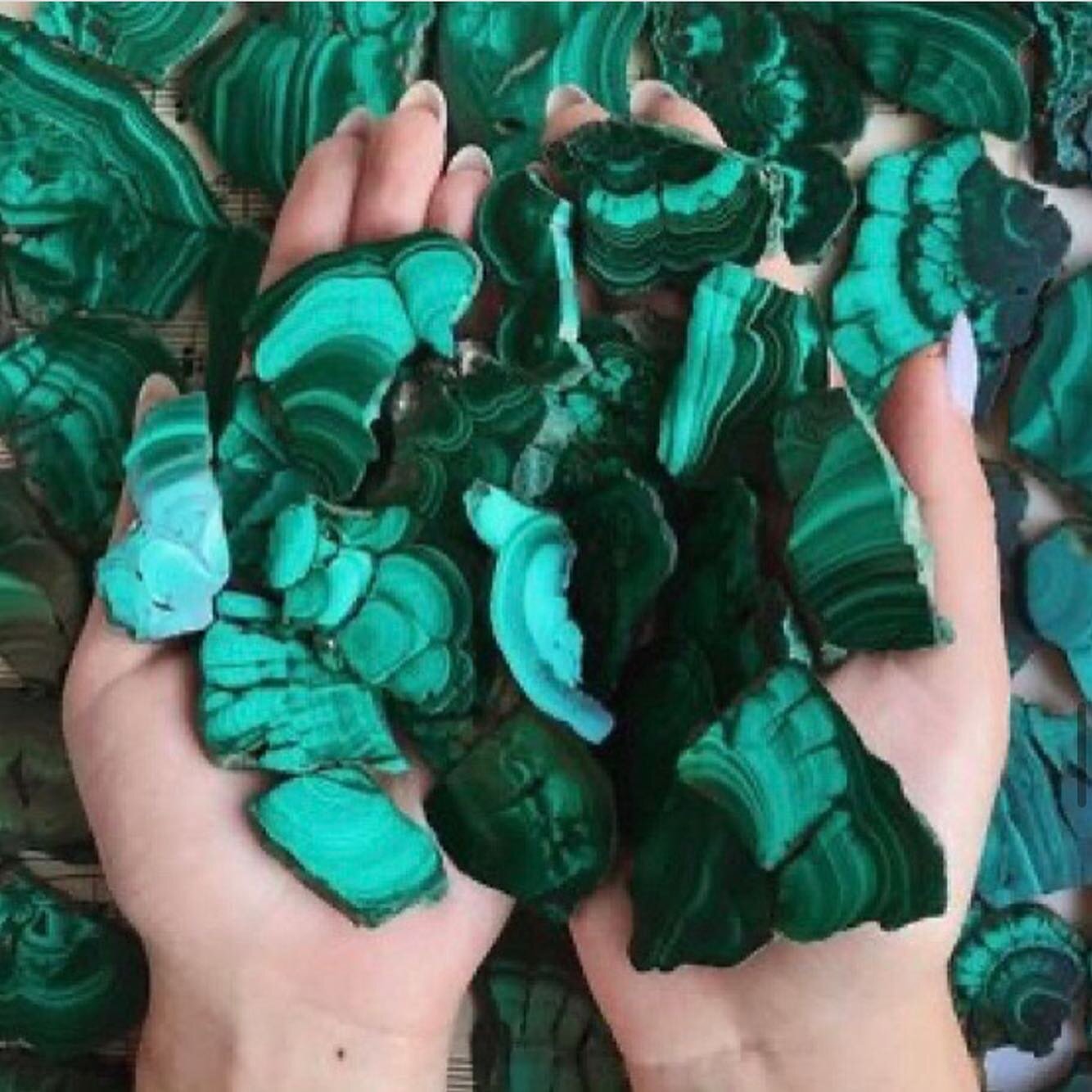 malachite.

自然界の象徴
知性と生命力
どこまでも深い静けさを湛えた色。

近年の研究で、緑色は読書機能を向上させるとも。

日々に緑色が必要なら
AZUNIのETRUSCAコレクションをチェックしてみてください。

#azuni #アズニ
#ETRUSCA #エトラスカ
#インポートブランド  #インポートファッション #アクセサリー #天然石 #デザイナーズジュエリー
#マラカイト #マラカイトアクセサリー
#ヨーロッパブランド #英国 #英国展