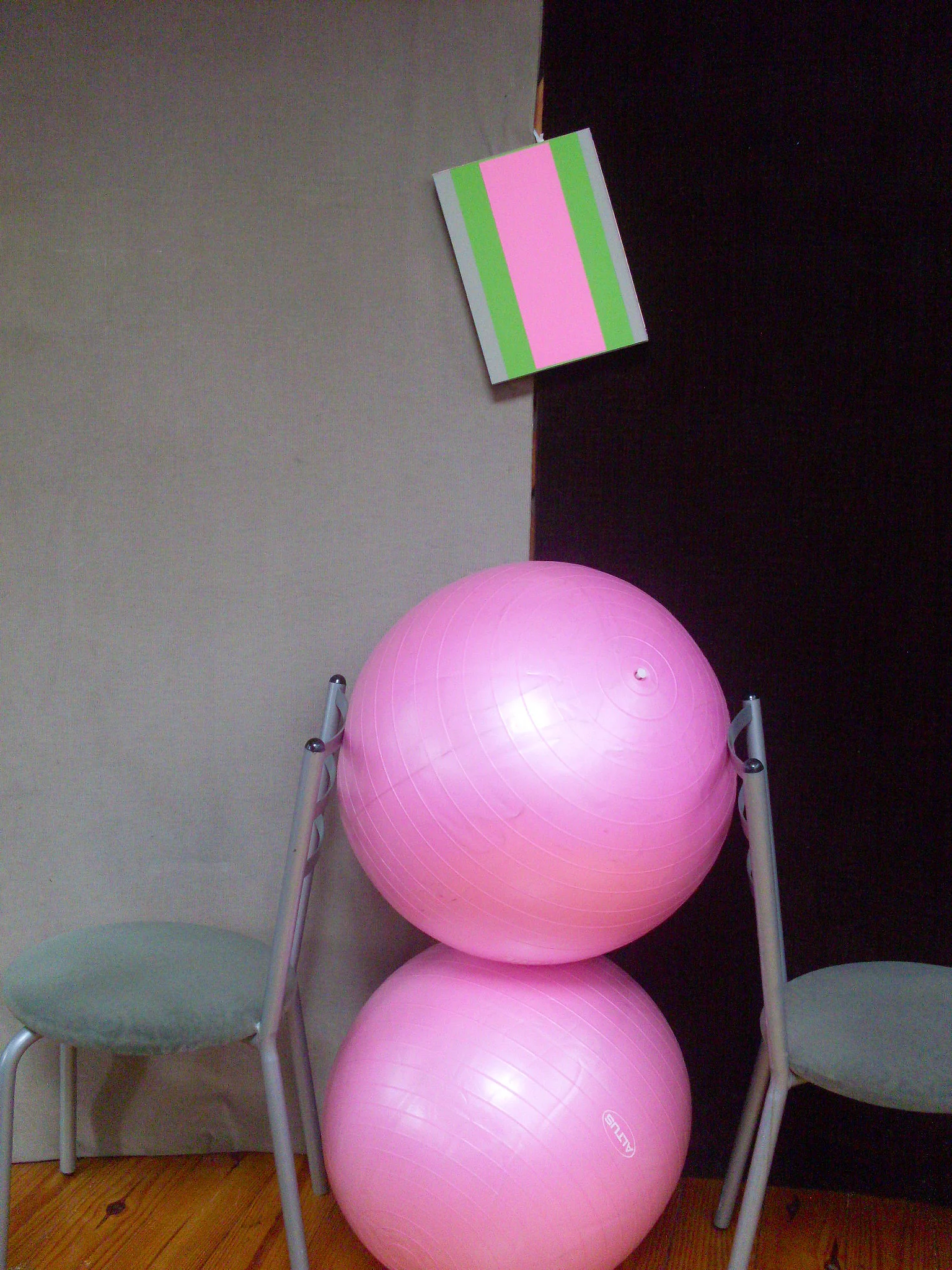 SandraC_pink copy.jpg