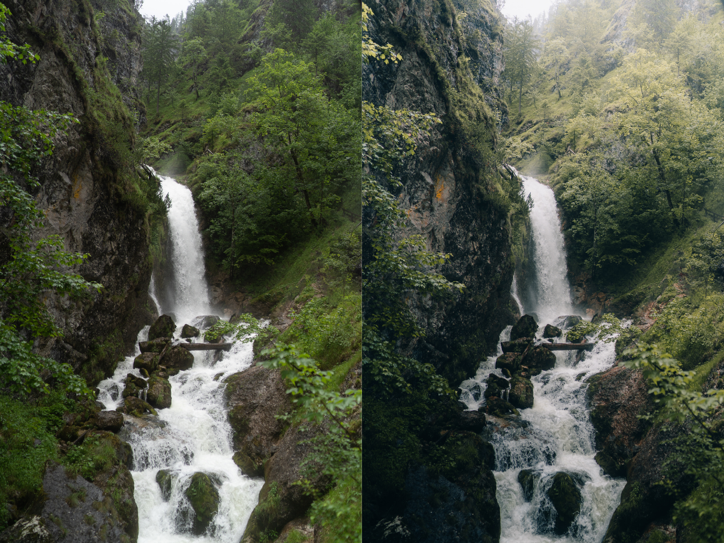 Discover the secrets hidden within the forest using Michael Kagerer's transformative Forest Collection preset.