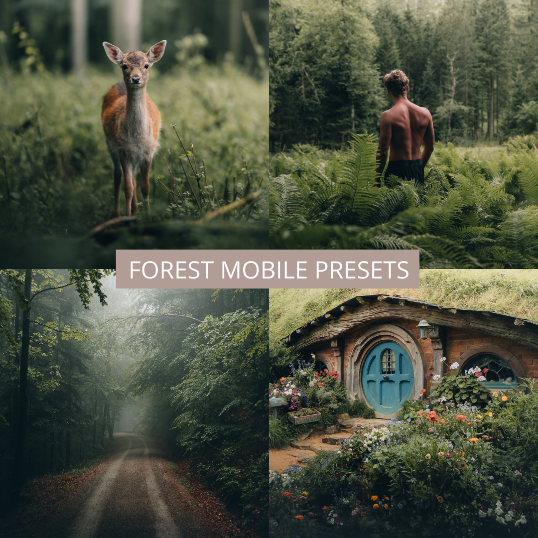 A mesmerizing forest landscape transformed with Michael Kagerer's Forest Collection preset