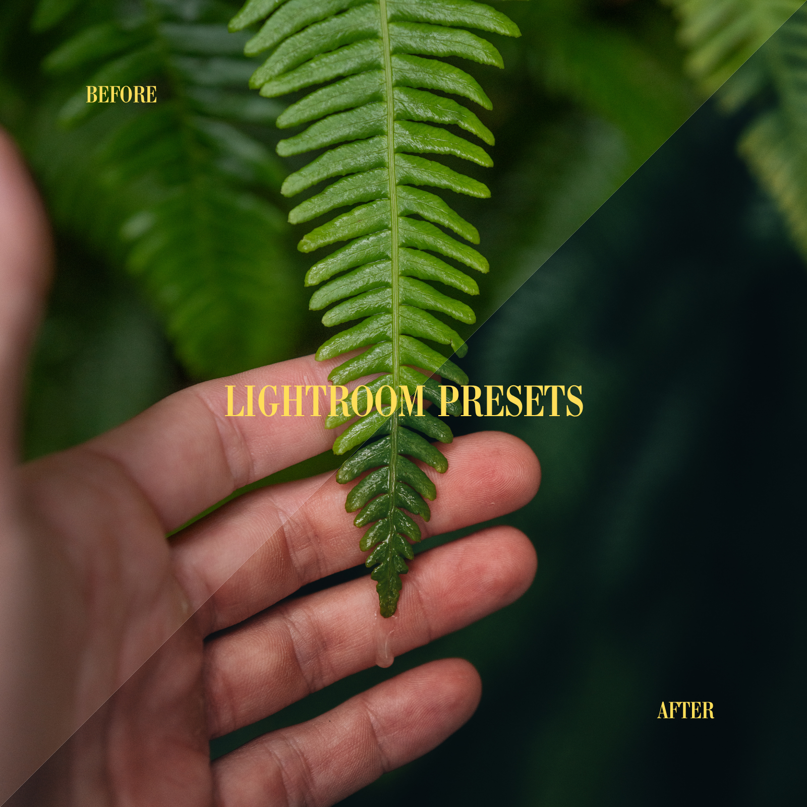 LIGHTROOM PRESETS.png