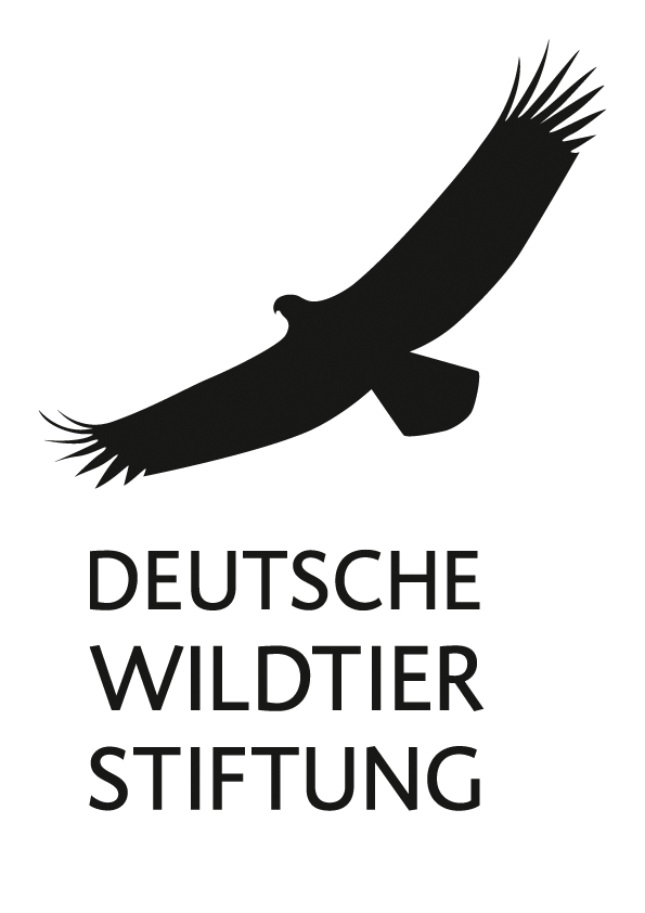 Deutsche Wildtier Stiftung - Projekt Wildbienen