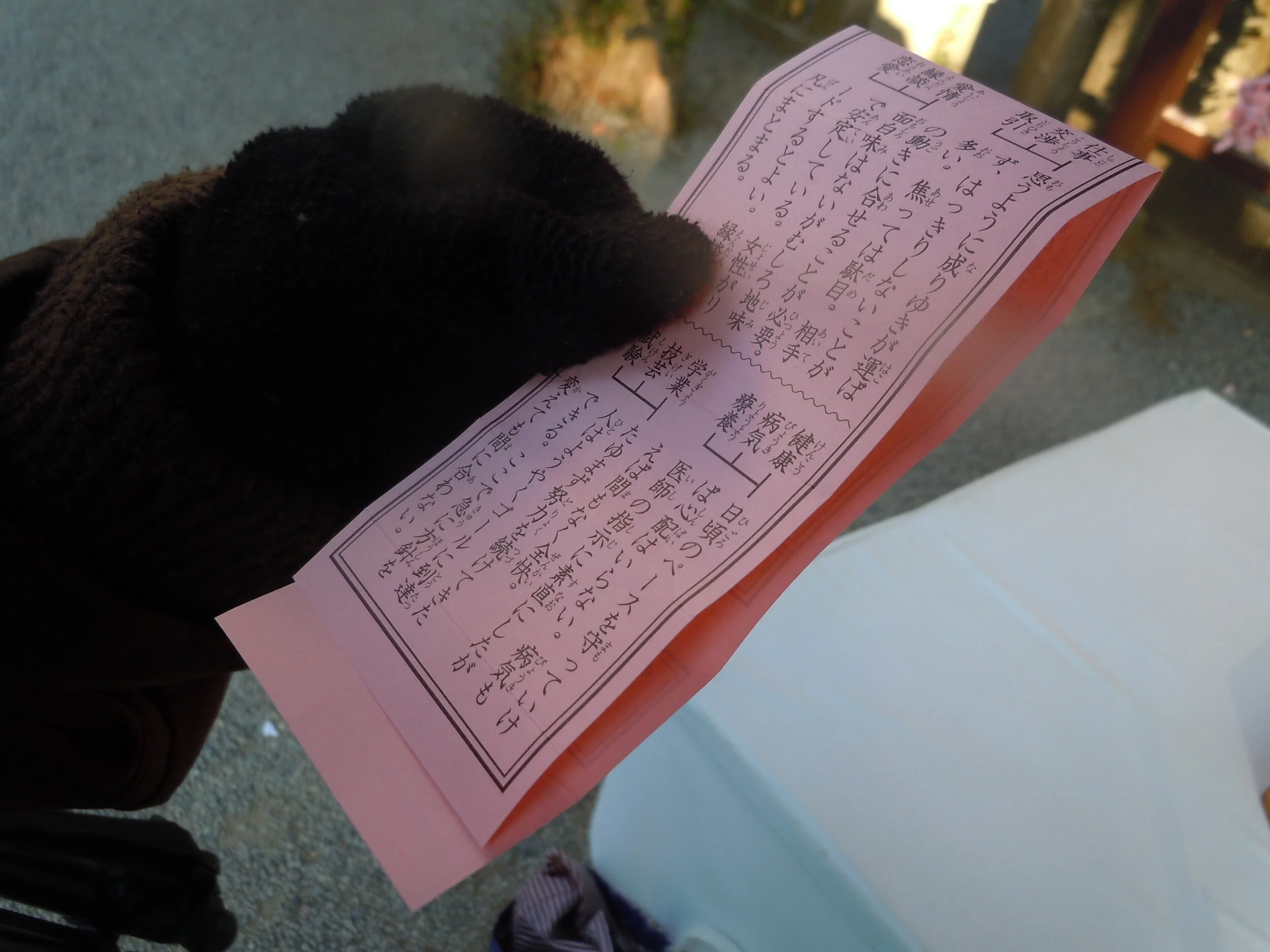 チャレンジャー号 Gary Mcleod Others