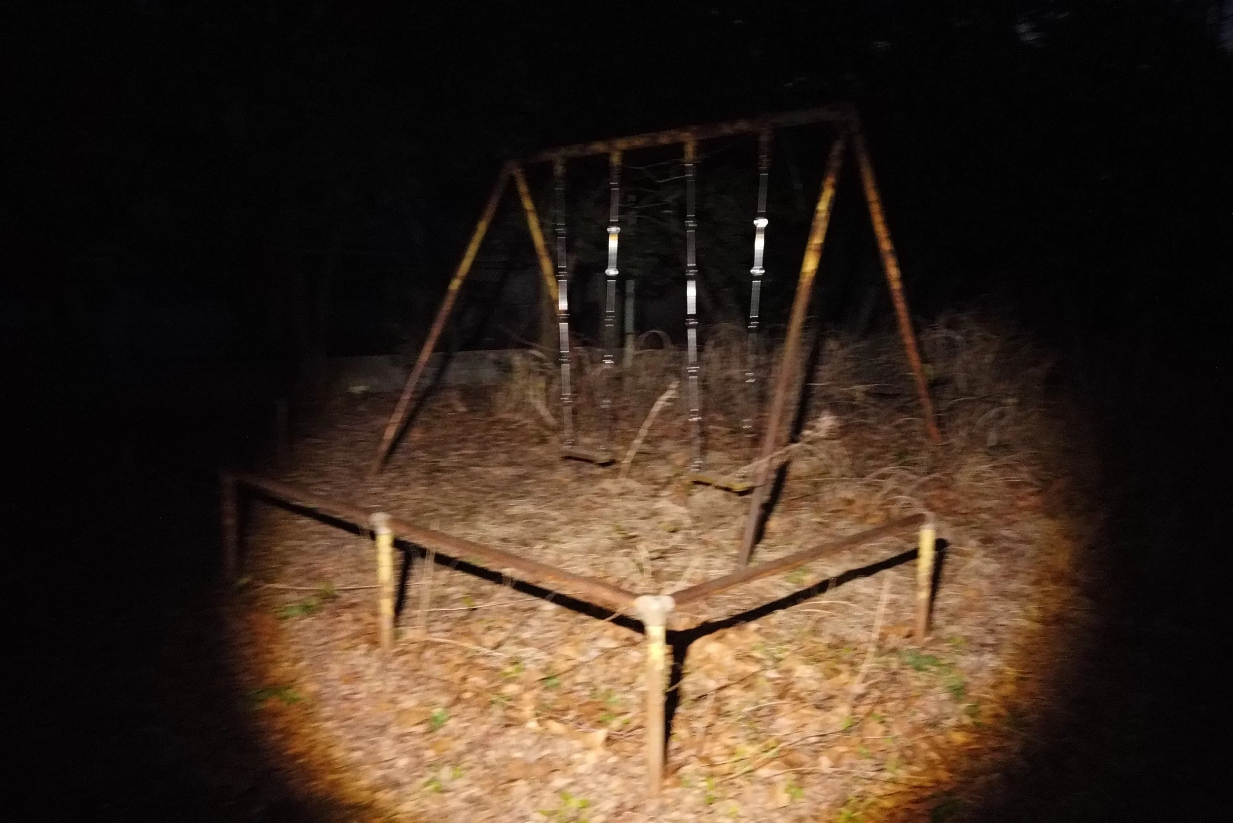DJI_0310.JPG