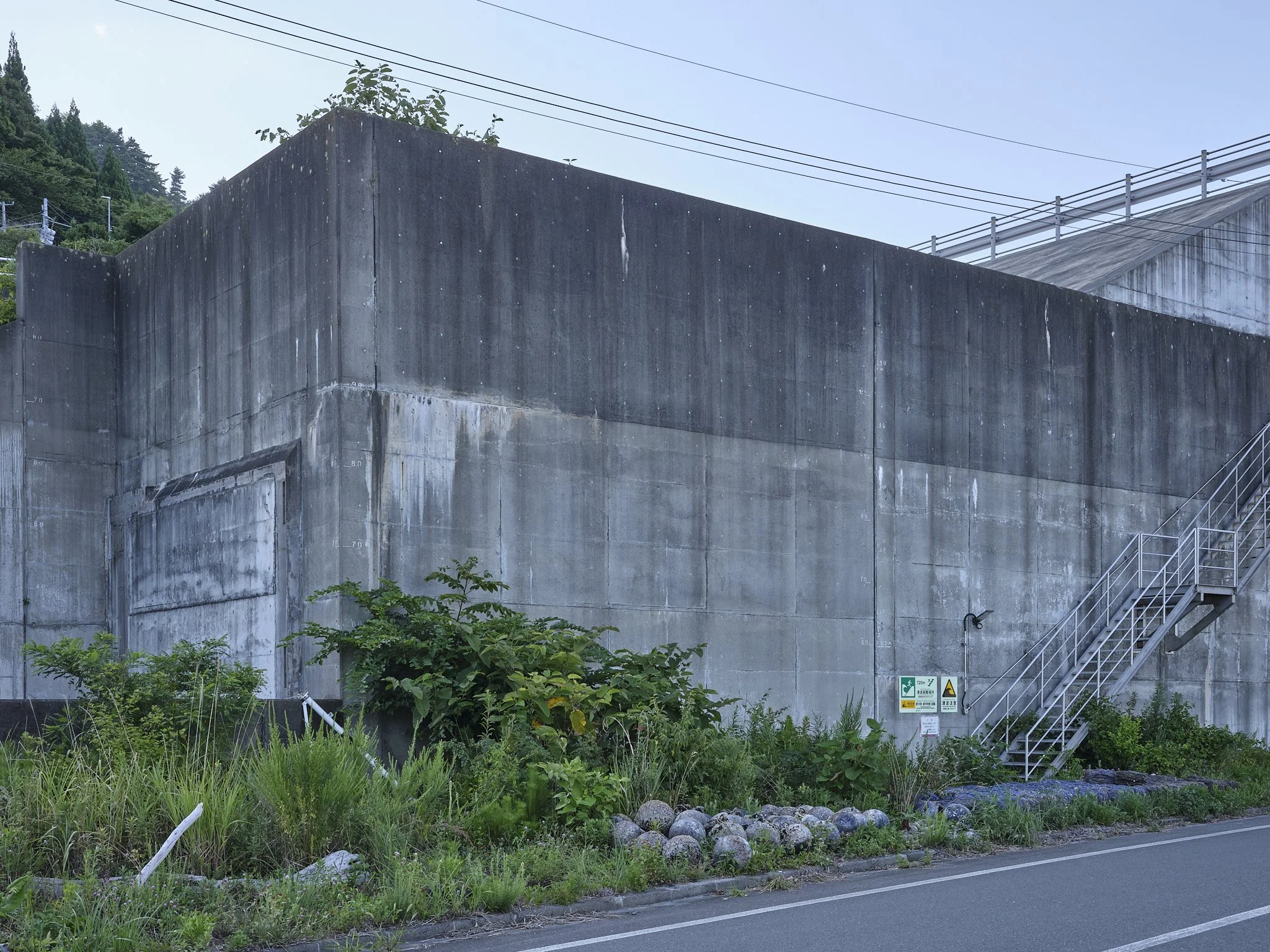 _DSF3257.jpg