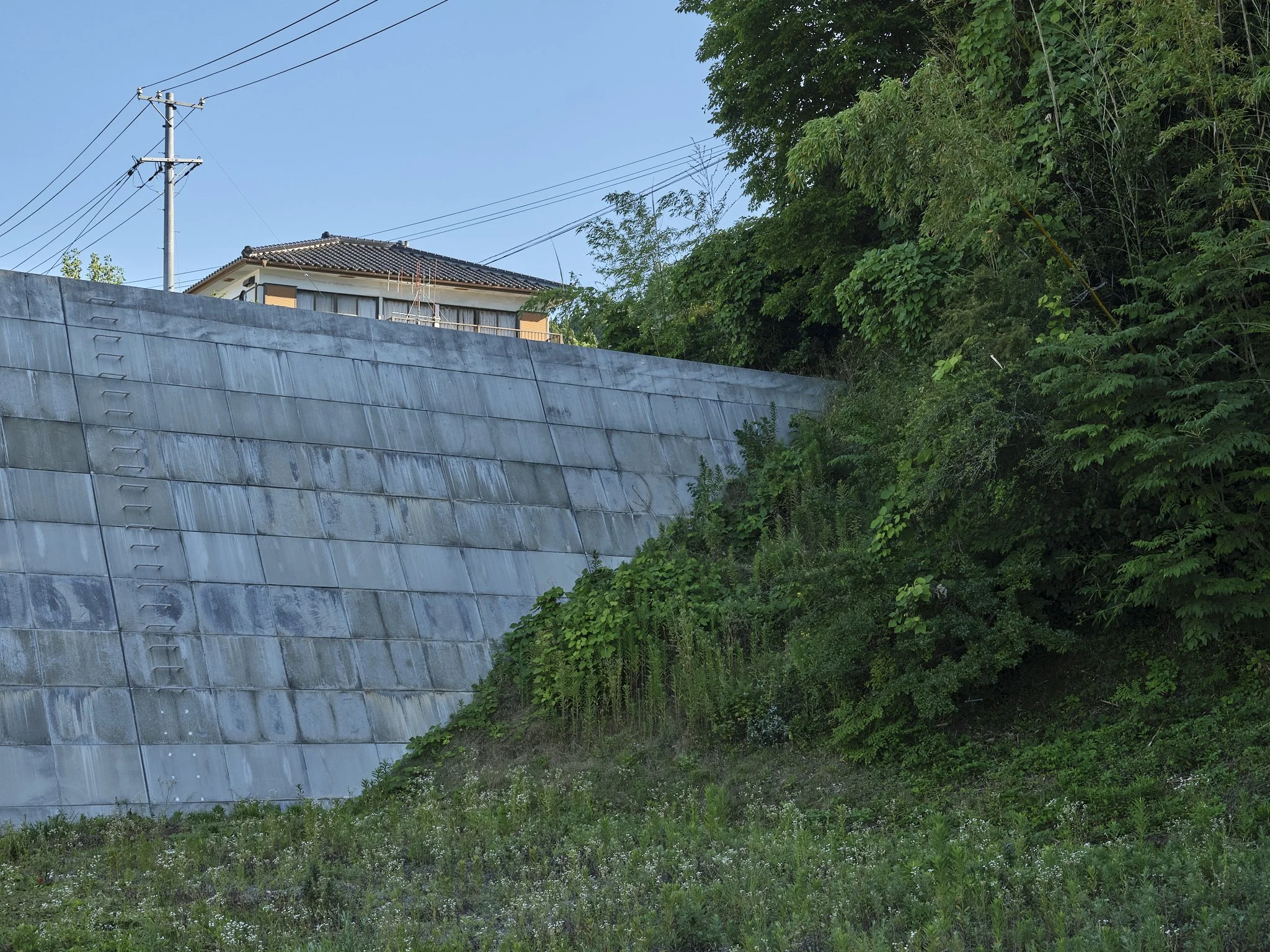 _DSF2240.jpg