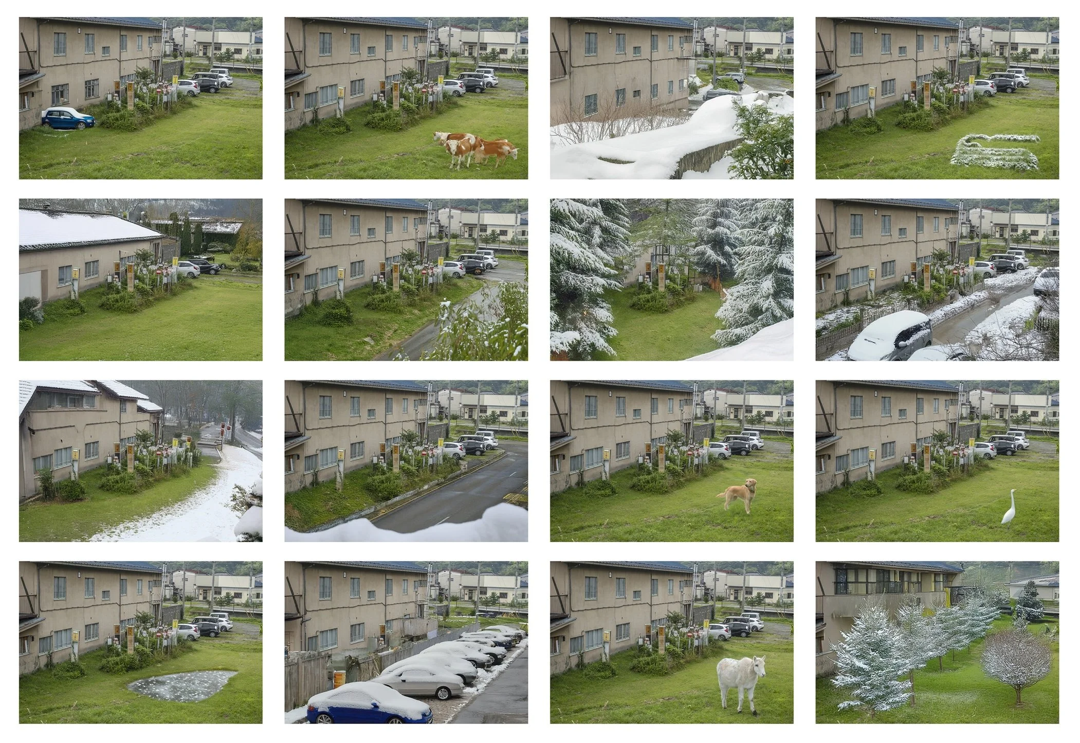 Forest of bus stop signs, Tono (2025)