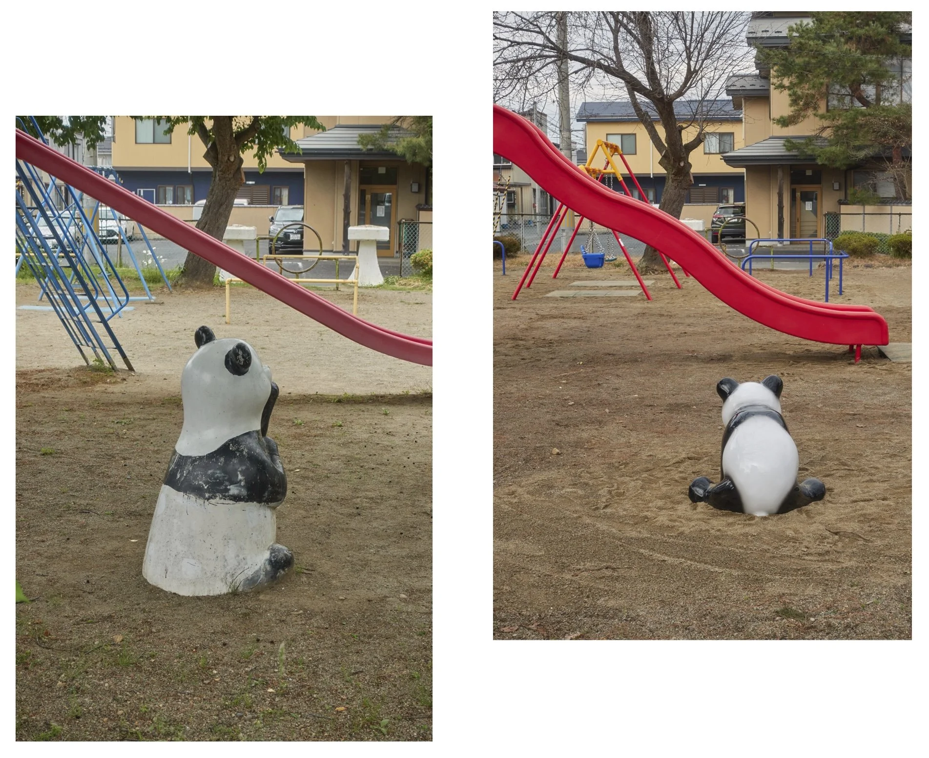 Heisenberg’s pandas, Kitakami (2023)