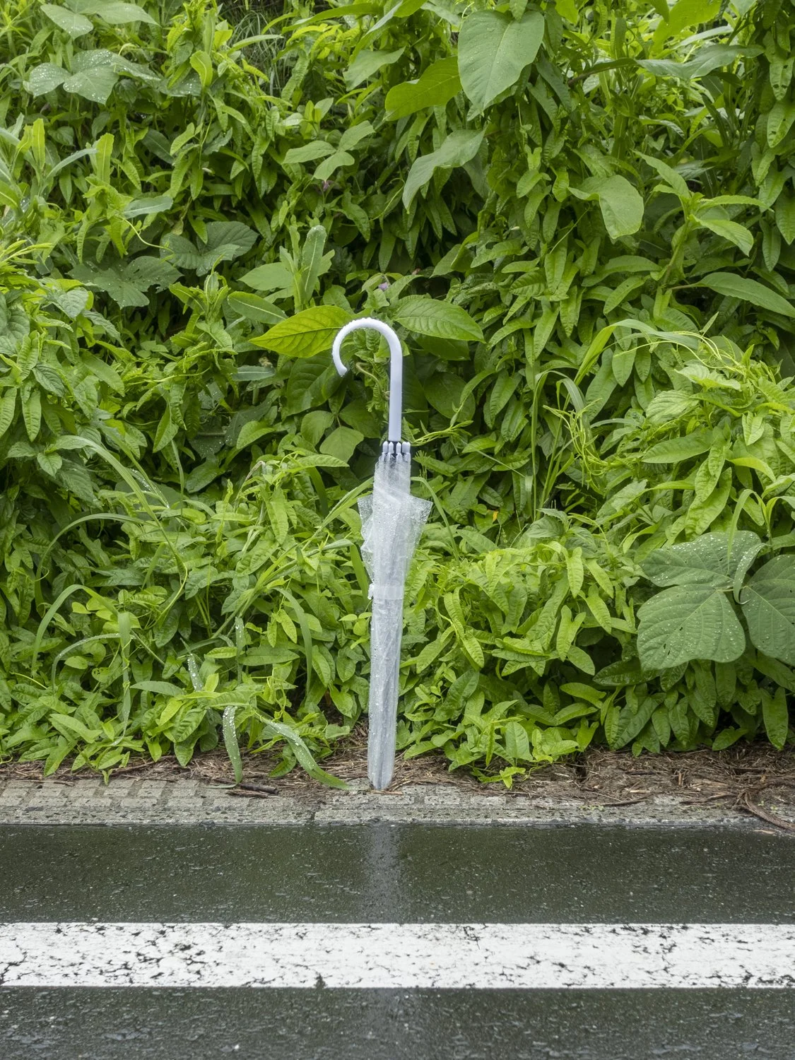 Sword in the stone, Ichinoseki (2022)