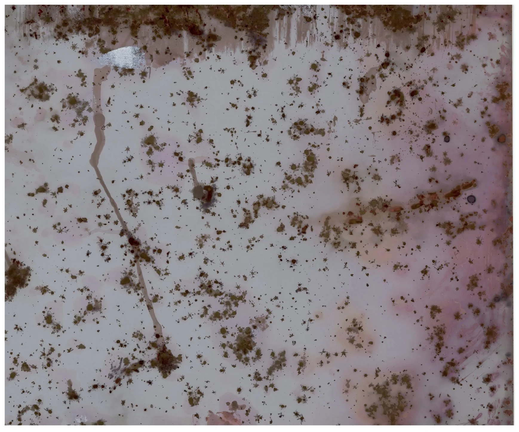 Yukigram: Tono (2023)