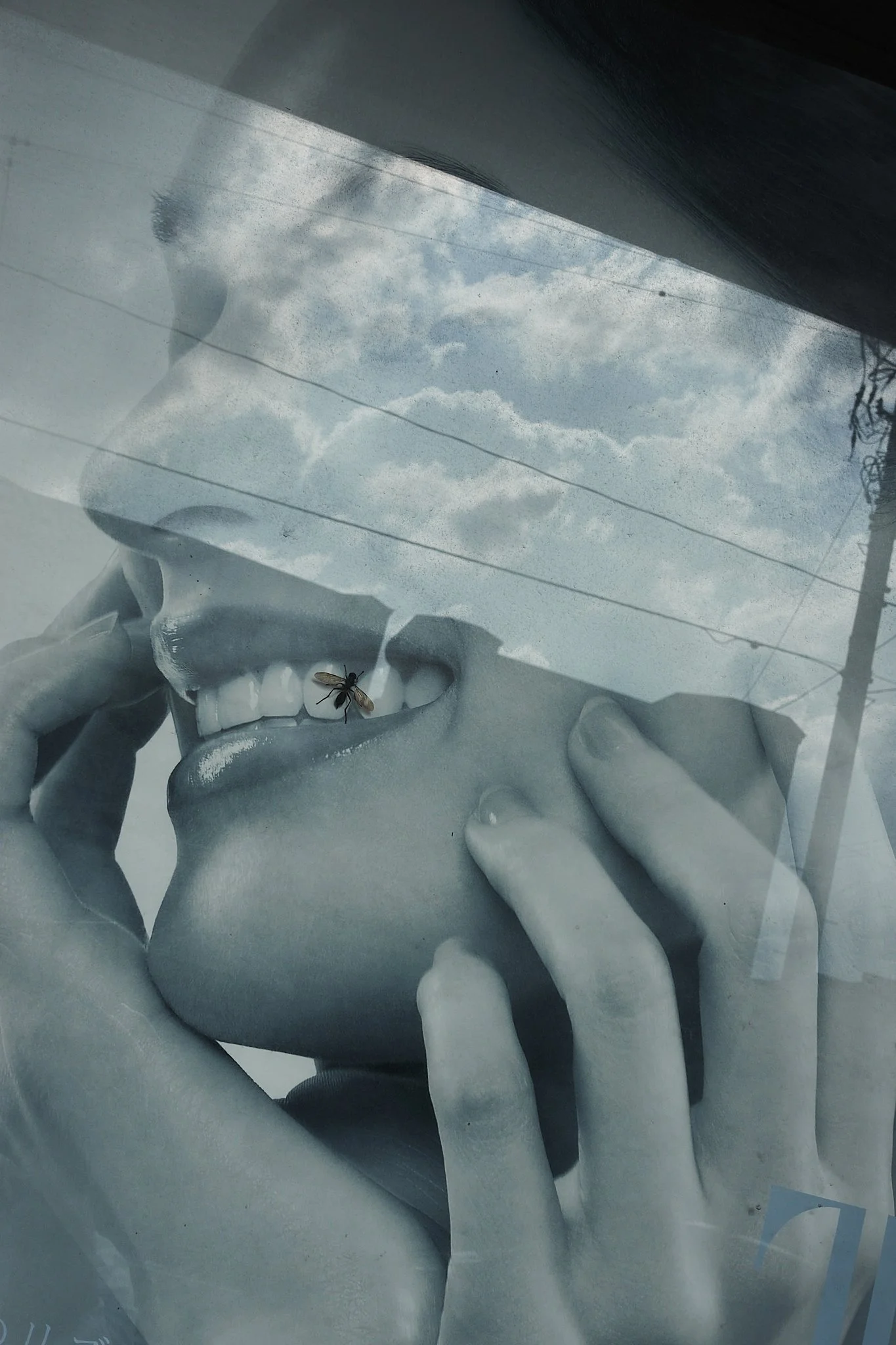 Smile for the camera, Esashi (2024)